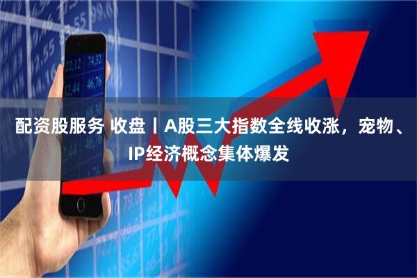 配资股服务 收盘丨A股三大指数全线收涨，宠物、IP经济概念集体爆发