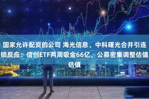 国家允许配资的公司 海光信息、中科曙光合并引连锁反应：信创ETF两周吸金66亿，公募密集调整估值